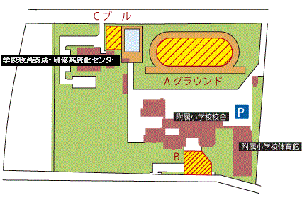 西城地区避難場所(附属小学校・学校教育実践研究センター)