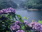 正善寺