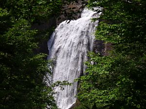 笹ヶ峰 ヒコサの滝