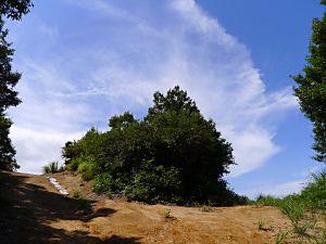 金谷山