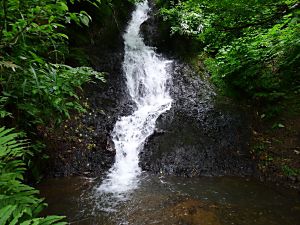 津南町 向の滝 津南町 向の滝