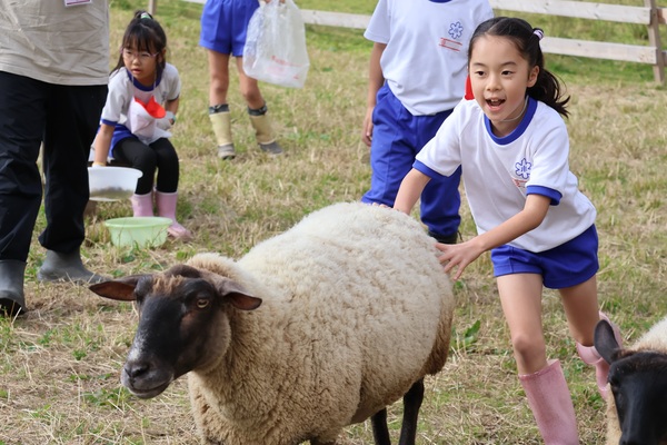 １年１組創造活動「もふもふひろば」