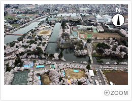 本城地区航空写真