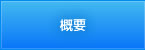 概要