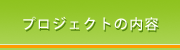 プロジェクトの内容