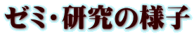 [~E̗lq
