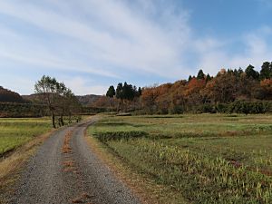 春日山城 大手道
