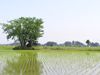 山麓線沿いの祠