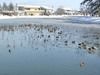 Takada Park in winter