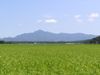 Mt. Yoneyama from Kubiki