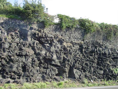 DSC05595
