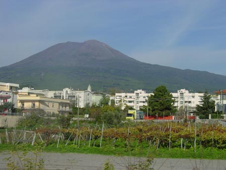 DSC05612